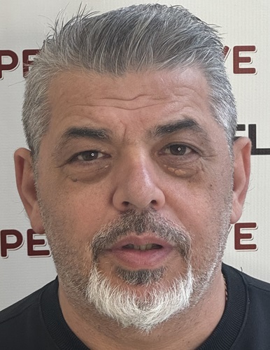 basilis-500×386-1.jpg